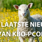 KBO_PCOB-1